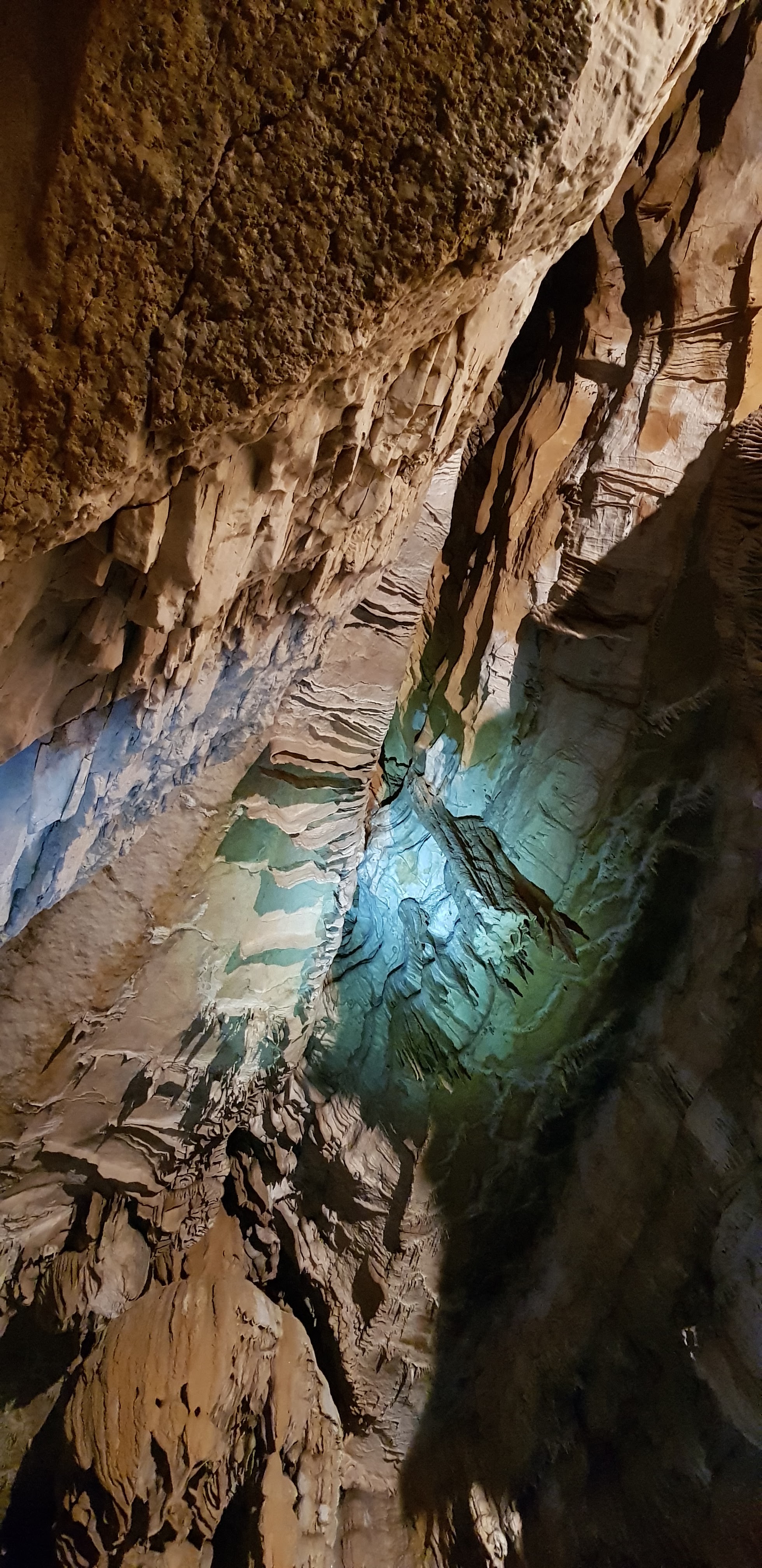Photo n° 3 de l'avis de Papato.r fait le 04/08/2019 à 14:16