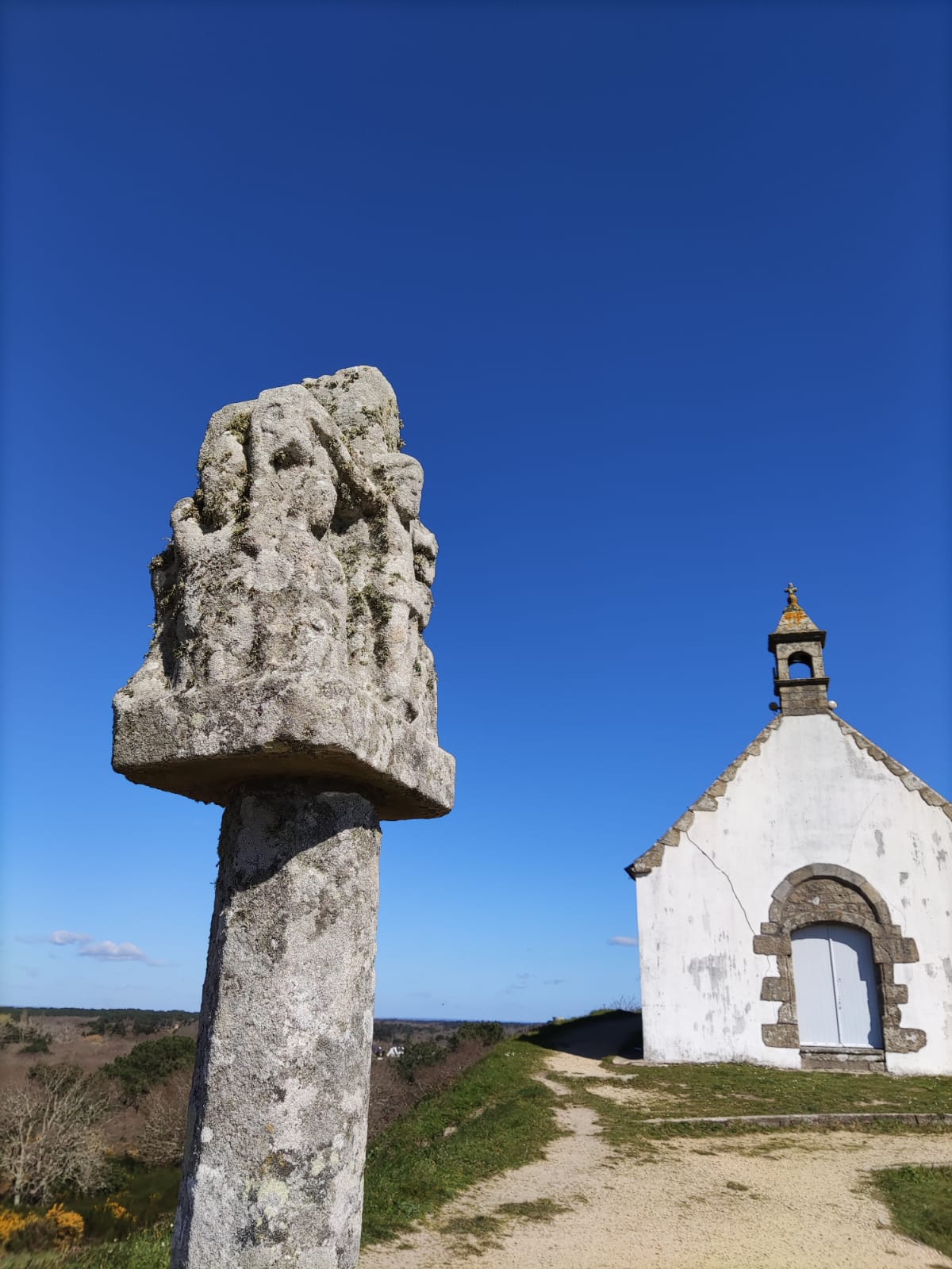 Photo n° 2 de l'avis de Marie-Pierre.e fait le 19/03/2021 à 16:41