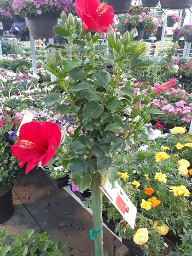 Home Improvement Store «The Home Depot», reviews and photos, 8000 Folsom Blvd, Sacramento, CA 95826, USA