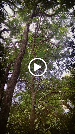 Park «J.A. Carr Park», reviews and photos, 508 Simmons Dr, Euless, TX 76040, USA