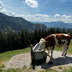 Photo n°12 de l'avis de Günther.c fait le 11/05/2024 à 16:40 sur le  Kreuzbergalm à Schliersee