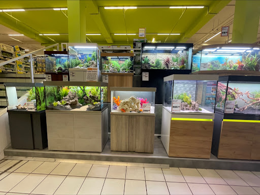 Franken Der Zoo unter Nuremberg, 