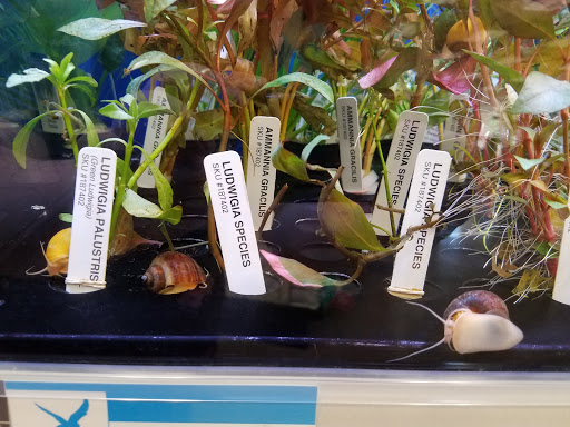 Pet Supply Store «Petco Animal Supplies», reviews and photos, 7215 170th Ave NE #115, Redmond, WA 98052, USA