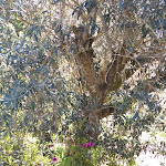 Photo n°18 de l'avis de LINA.H fait le 15/04/2022 à 00:44 sur le  Quinta do Caçador à Estremoz