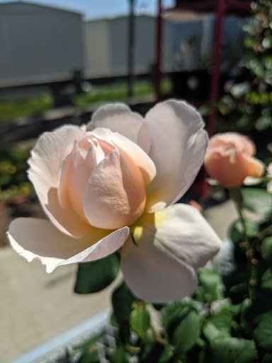 Home Improvement Store «The Home Depot», reviews and photos, 296 N Plainfield Rd, West Lebanon, NH 03784, USA