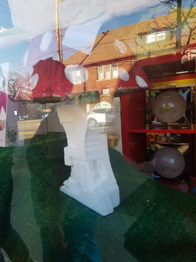 Toy Store «Ruckus & Glee LLC», reviews and photos, 8730 W North Ave, Milwaukee, WI 53226, USA