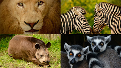 Parc Animalier de Bouillon