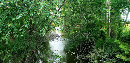 Golf Course «Paint Branch Golf Course», reviews and photos, 4690 University Blvd E, College Park, MD 20740, USA