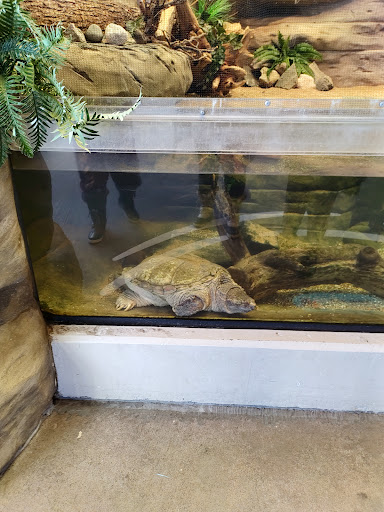 Aquarium «Great Lakes Aquarium», reviews and photos, 353 Harbor Dr, Duluth, MN 55802, USA