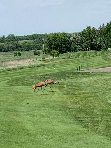 Golf Course «Baker National Golf Course», reviews and photos, 2935 Parkview Dr, Hamel, MN 55340, USA