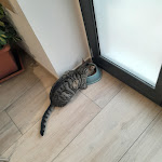 Photo n°2 de l'avis de Pierluigi.a fait le 16/02/2023 à 12:33 sur le  Spritz Cafè à Sambucetole