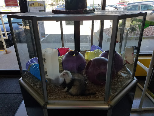 Pet Store «Parker Exotic Pets», reviews and photos, 17880 Cottonwood Dr, Parker, CO 80134, USA