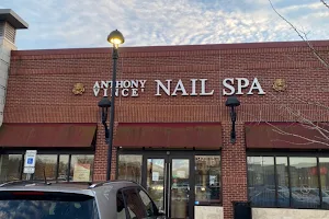 Anthony Vince Nail Spa image