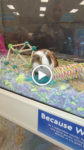 Pet Supply Store «PetSmart», reviews and photos, 10900 W Jefferson Blvd, Culver City, CA 90230, USA