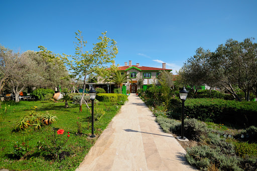 Olive Farm Datça