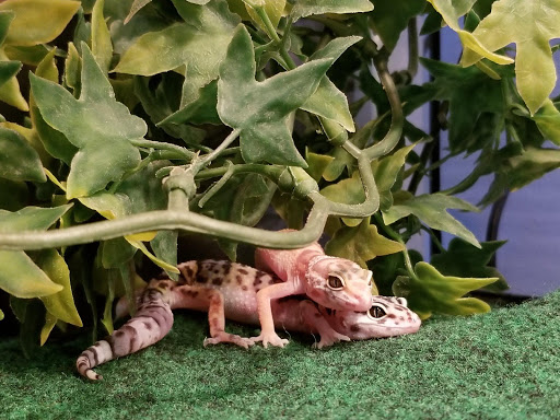 Pet Store «Paws & Fins Pet Shop», reviews and photos, 360 Tormey Ln NE, Bainbridge Island, WA 98110, USA