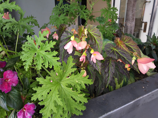 Art Museum «Seattle Art Museum», reviews and photos, 1300 1st Ave, Seattle, WA 98101, USA