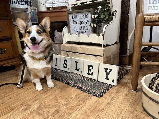 Dog Trainer «Off Leash K9 Training, Charlottesville», reviews and photos, 8782 Seminole Trail, Ruckersville, VA 22968, USA