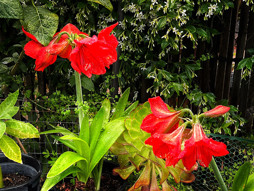 Garden Center «Ladera Garden & Gifts», reviews and photos, 3130 Alpine Rd #380, Portola Valley, CA 94028, USA