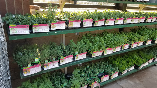 Garden Center at The Home Depot