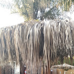 Photo n°5 de l'avis de Carmine.' fait le 27/07/2022 à 17:29 sur le  La Baia del Sole à Montecorice