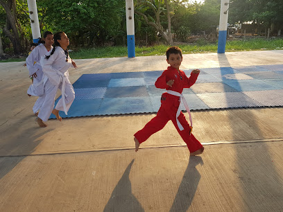 Taekwondo Saloya Panamericano