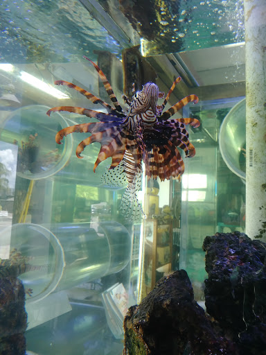 Marina «Sunrise Fish Dive Surf», reviews and photos, 505 Glen Cheek Dr, Port Canaveral, FL 32920, USA