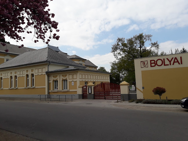 Értékelések erről a helyről: Győri SZC Bolyai János Általános Iskola, Mosonmagyaróvár - Iskola