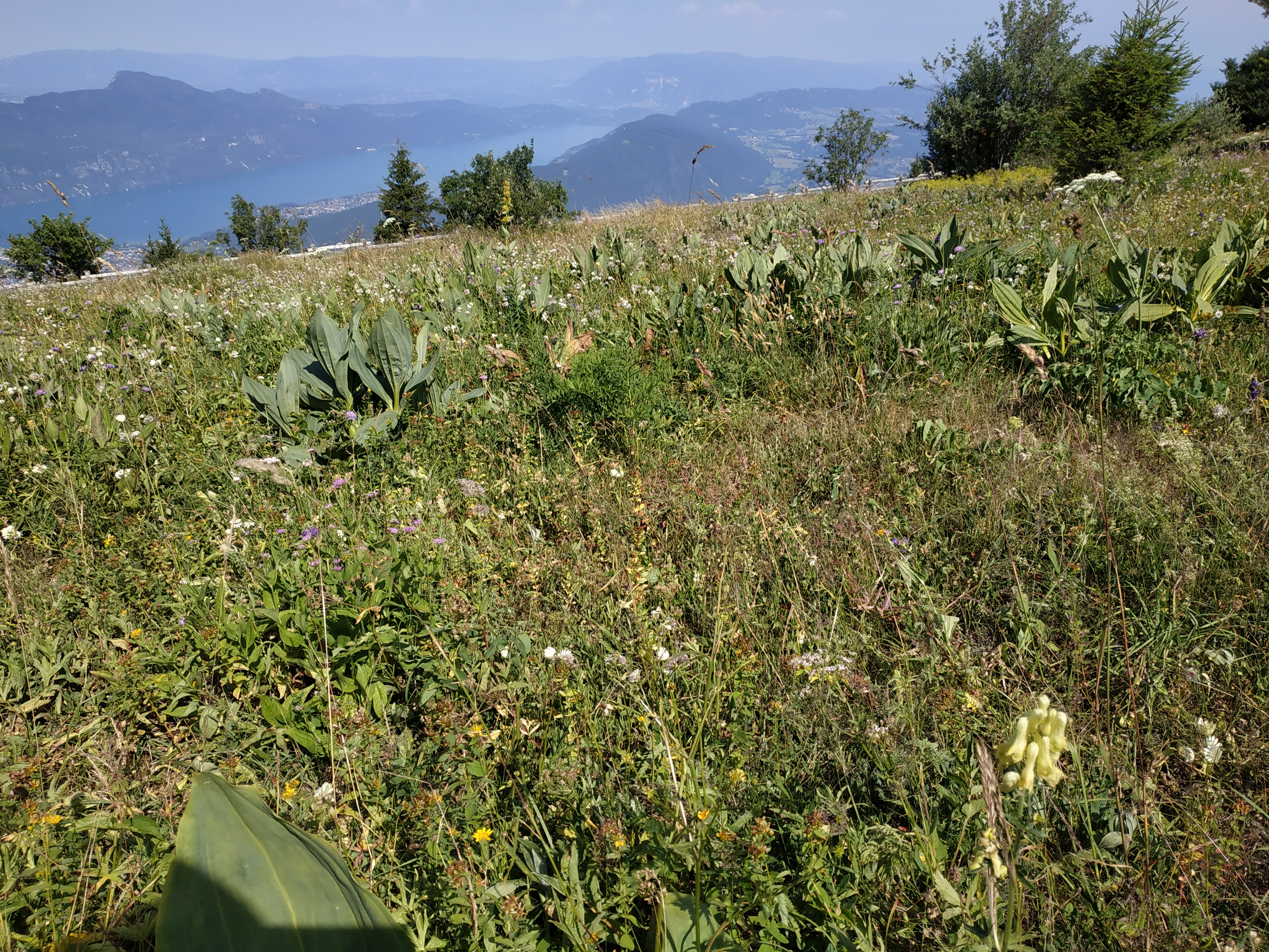 Photo n° 4 de l'avis de Laurence.t fait le 30/08/2019 à 14:00