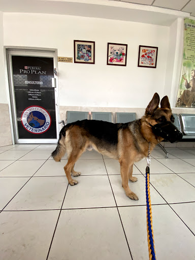 Clinicas perros Tegucigalpa