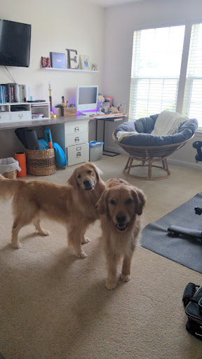 House Cleaning Service «MOLLY MAID of Greenville», reviews and photos, 1200 Woodruff Rd F18, Greenville, SC 29607, USA