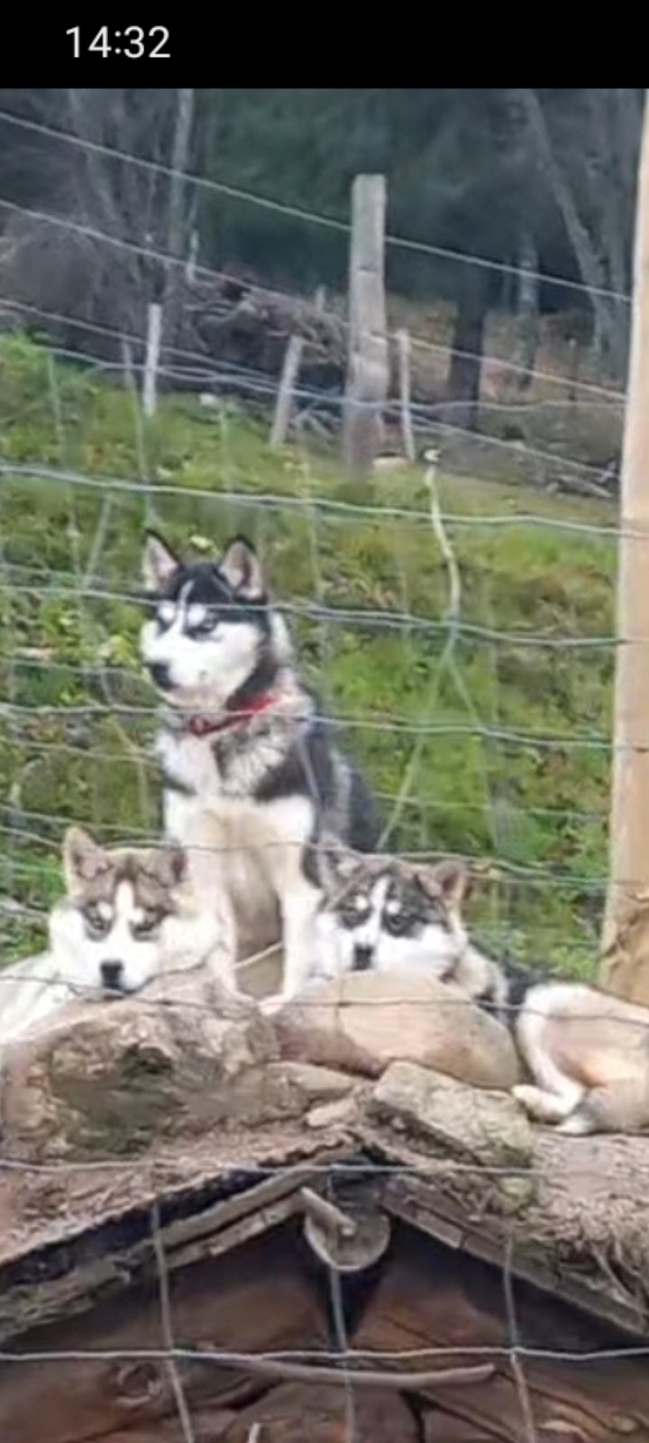 Photo n° 15 de l'avis de Djamylive.h fait le 07/12/2023 à 07:25