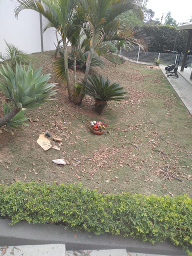 Logo da empresa - Duda Jardinagem