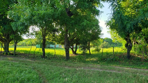 Planta Fersan Nigua