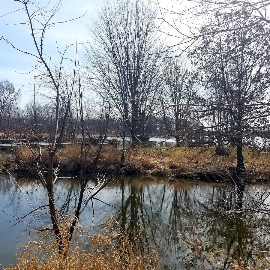 Fox River Preserve