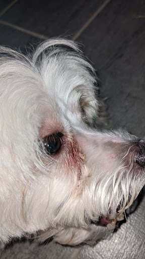 Pet Supply Store «Petco Animal Supplies», reviews and photos, 45205 Worth Ave, California, MD 20619, USA