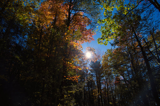 Nature Preserve «Minnewaska State Park Preserve», reviews and photos, 5281 Route 44-55, Kerhonkson, NY 12446, USA