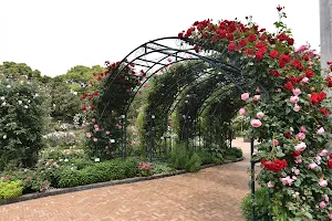 Rose Garden (Bara-en) image