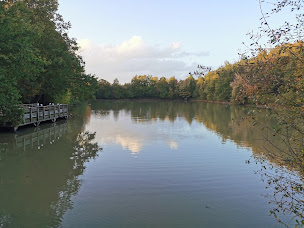 Photo n°7 de Refuge de Grasla à Les Brouzils ()
