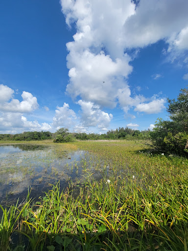 Park «Tree Tops Park», reviews and photos, 3900 SW 100th Ave, Davie, FL 33328, USA
