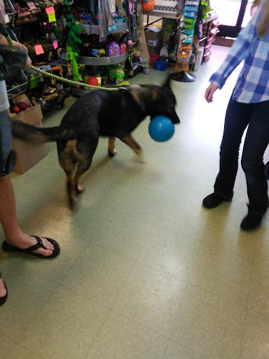 Pet Groomer «Happy Tails Pet Center», reviews and photos, 4370 SE King Rd Ste 260, Milwaukie, OR 97222, USA