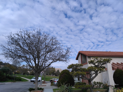 Shopping Mall «Country Hills Shopping Center», reviews and photos, 2905 Rolling Hills Rd, Torrance, CA 90505, USA