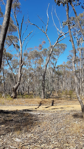 bank Wychitella Nature Conservation Reserve