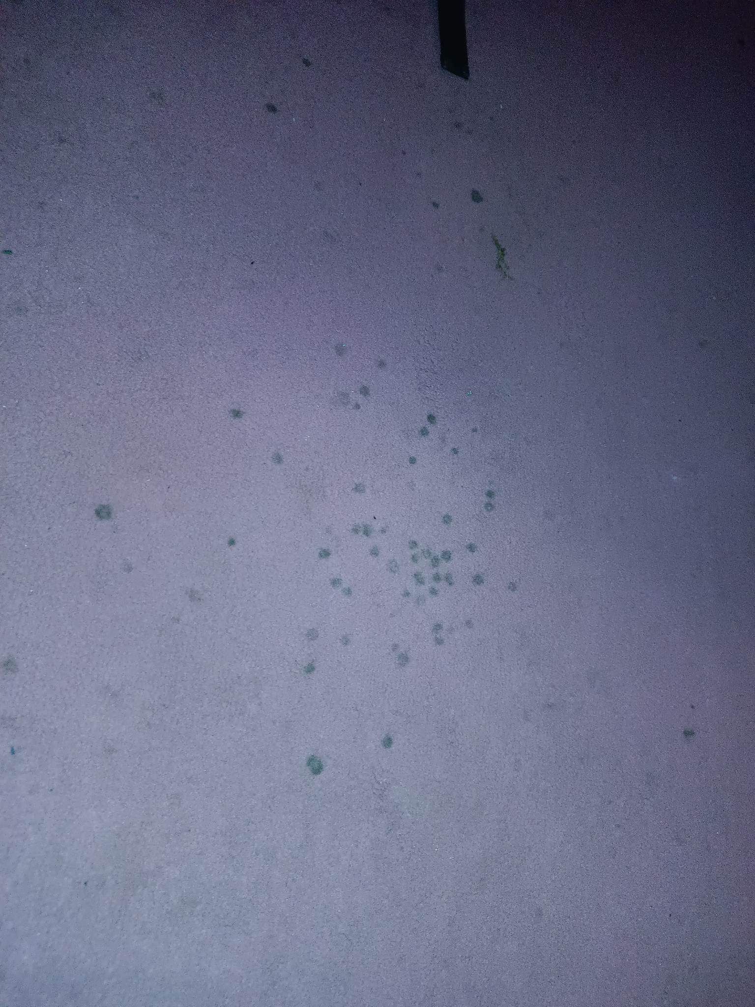 Photo n° 4 de l'avis de E.i fait le 01/12/2022 à 19:32