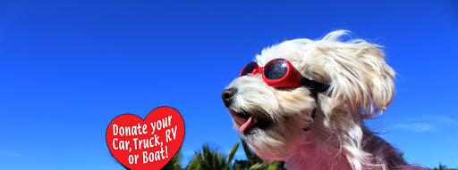 Car Donation Services Inc