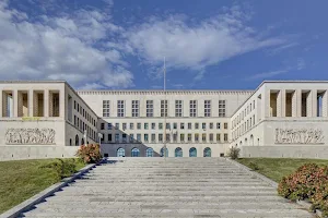 University of Trieste image