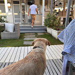 Photo n°1 de l'avis de Familie.u fait le 02/08/2023 à 11:25 sur le  Bagno La Pace à Viareggio