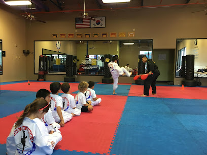HANA Taekwondo Academy