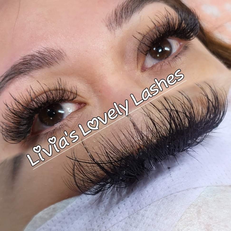 Livia's Lovely Lashes & Brows 46342