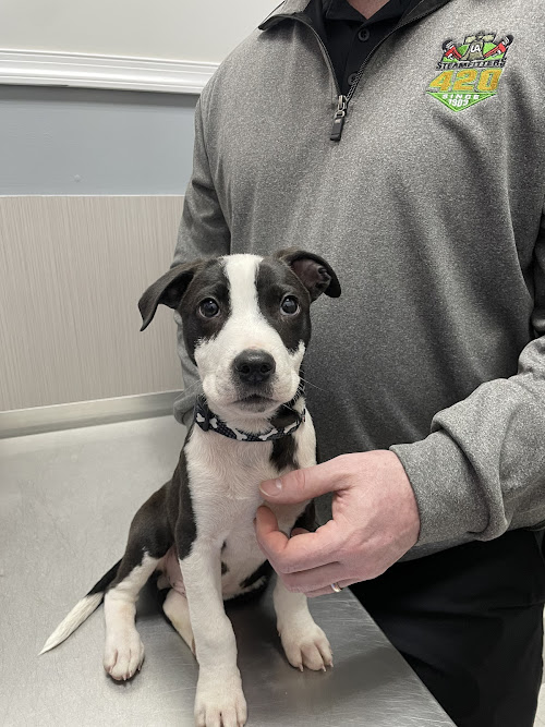  alt='Exceptional animal rescue. Very well educated on their animals. They will share and educate you on anything you would like'